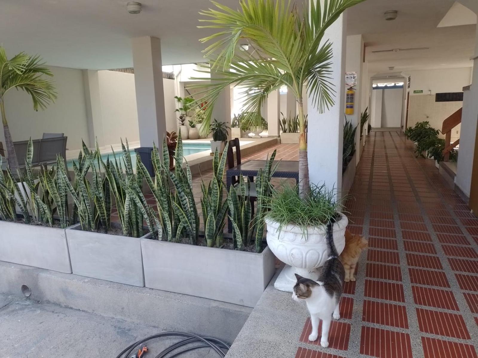 Apartamento Horizonte Y Cc Zazue *